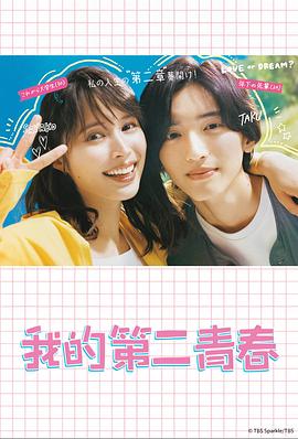 成都新网站优化案例